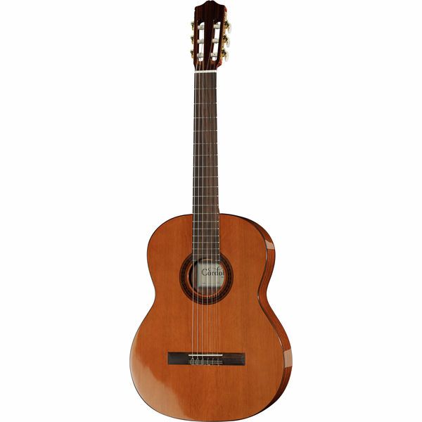 If you simply be taught guitar, you should purchase Basic or Aucoustic?
