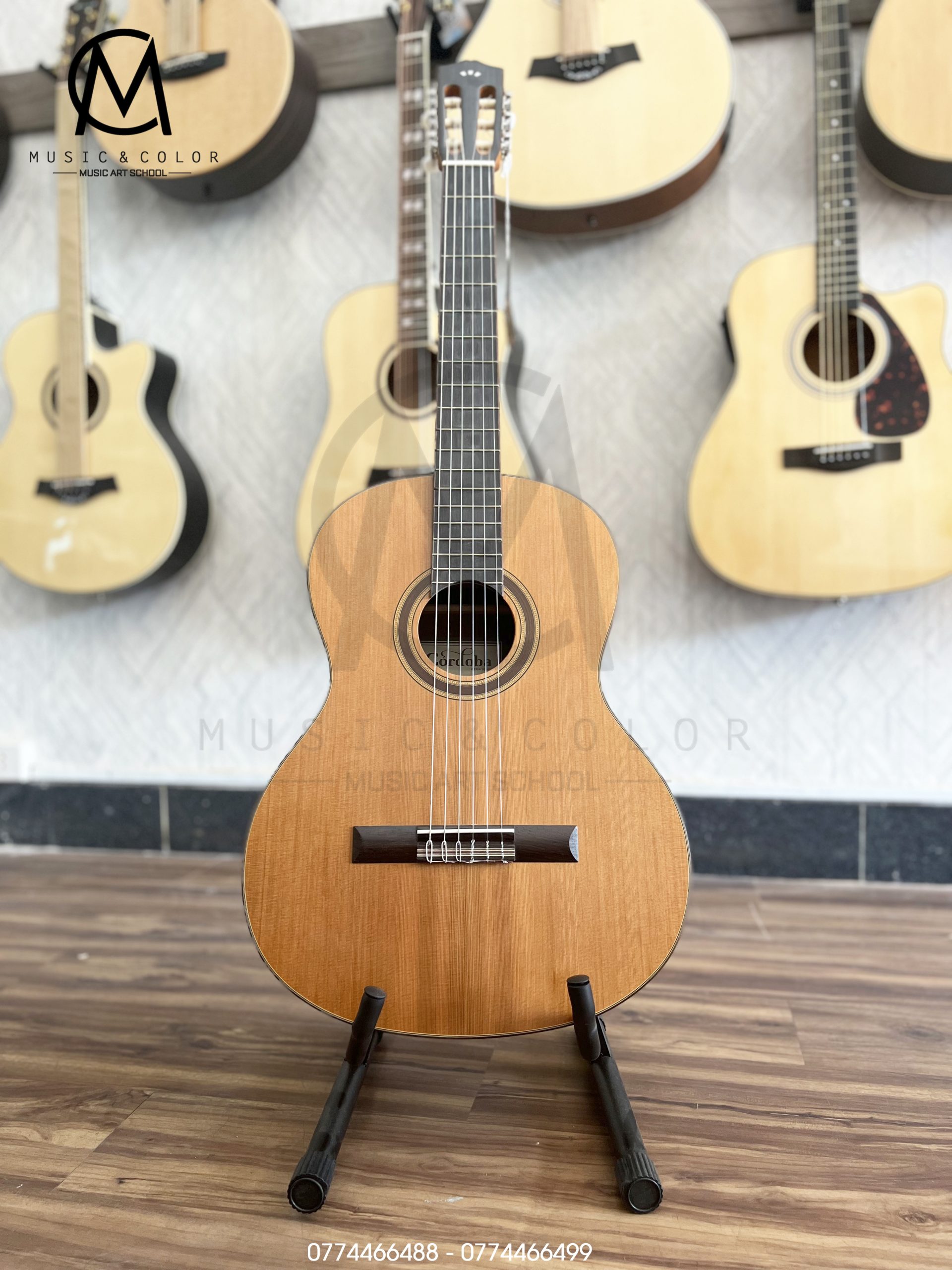 Perceive the components of the guitar