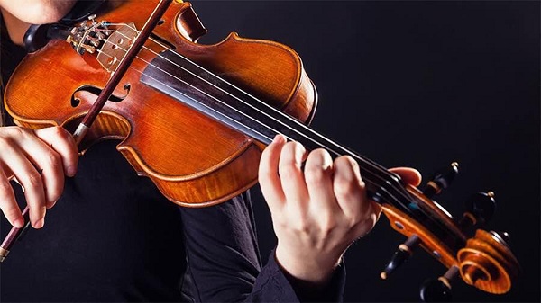 Research violin at Music & Coloration Vung Tau