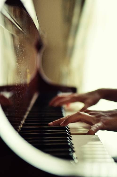 7 steps to study piano for newbies – Music & Shade