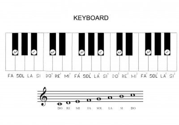 Issues to know earlier than studying the piano